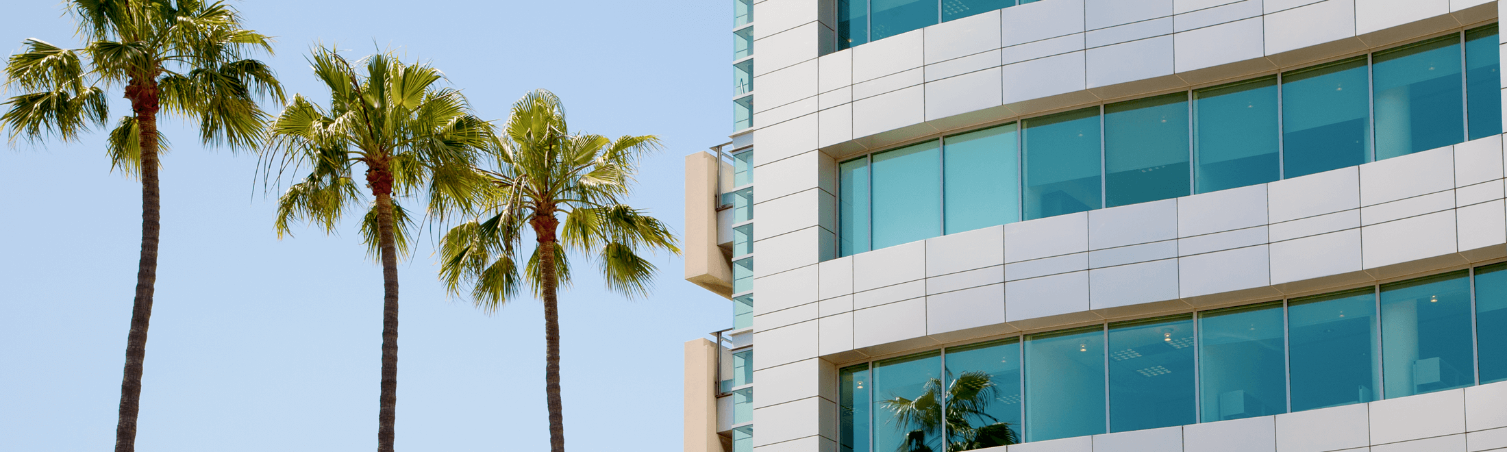 Cropped image of Chancellor's Office building with palm trees